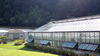 Solar PV Greenhouse