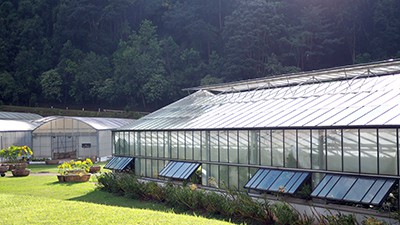 Solar PV Greenhouse