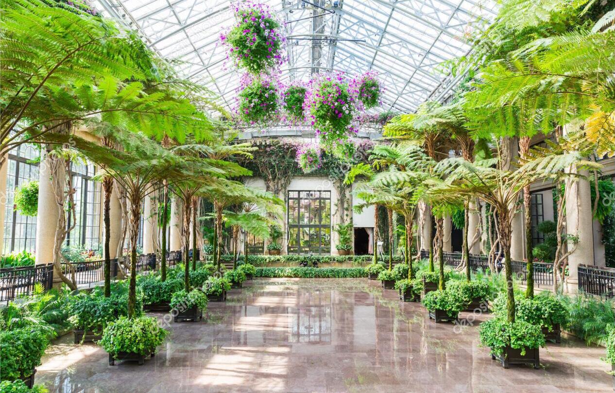 Garden Greenhouse