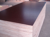 Brown Film Faced Plywood