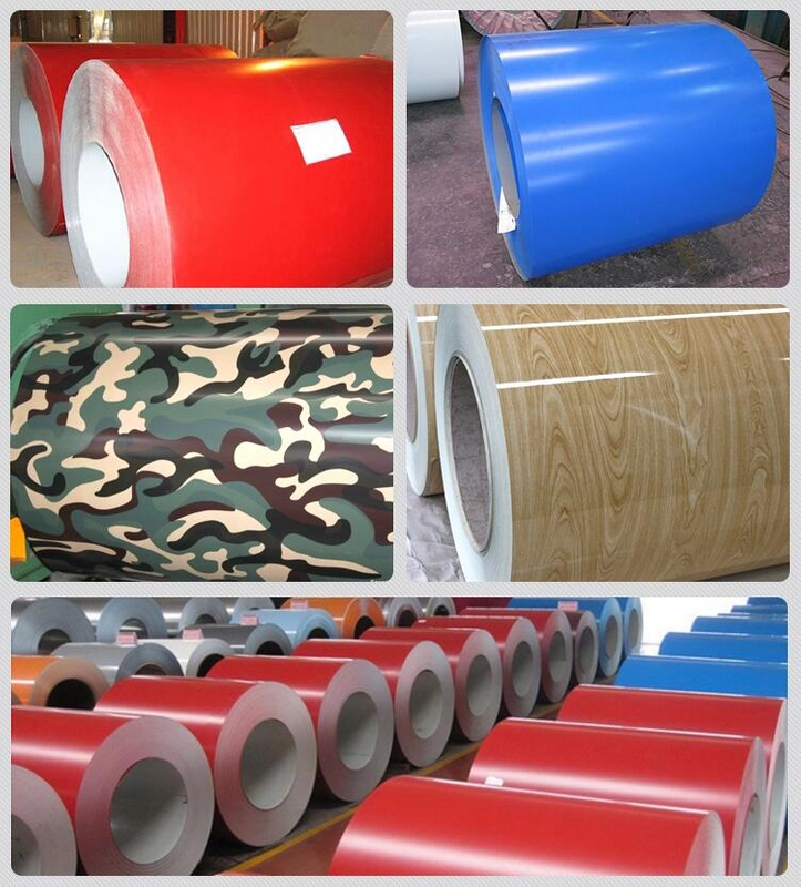 PPGL Steel Coil