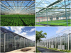 Film Greenhouse