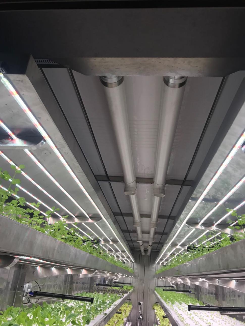 CONTAINER PLANT FACTORY05