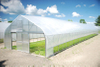 Tunnel Greenhouse