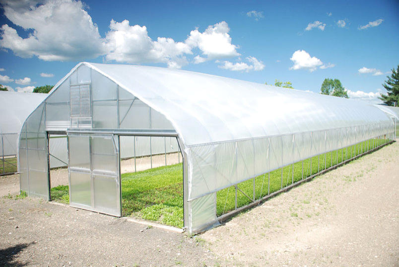 Tunnel Greenhouse