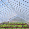 Film Greenhouse