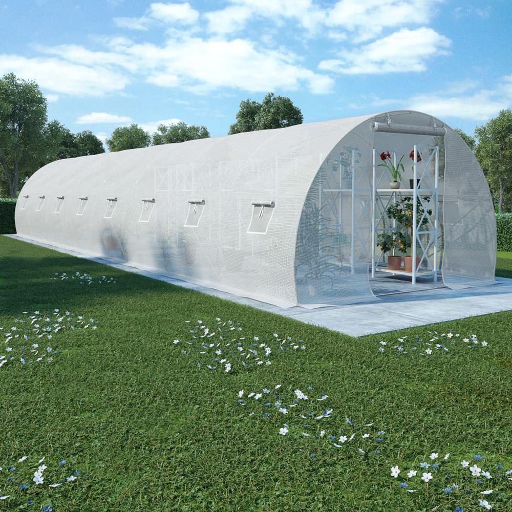 Tunnel Greenhouse